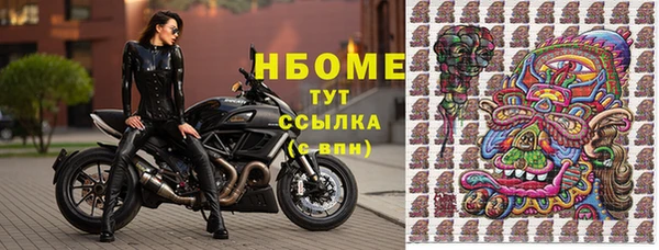 эйфоретик Бородино