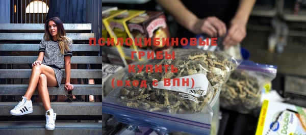 эйфоретик Бородино