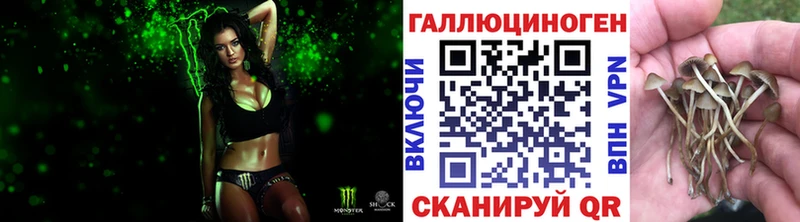 Галлюциногенные грибы Psilocybe Кизел